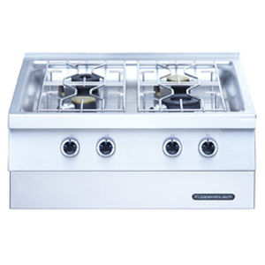 placa de cocina de gas / profesional