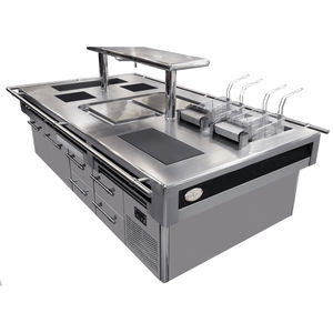 cocina profesional de acero inoxidable