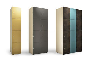 locker de depósito estándar