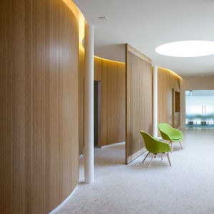 panel de madera de construcción