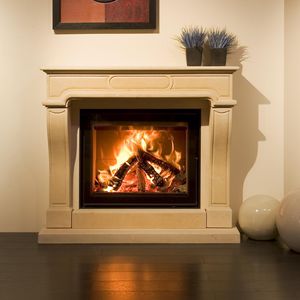 chimenea insertable de leña