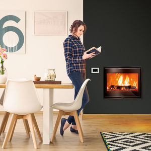 chimenea insertable de leña