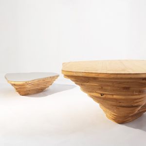 mesa de centro de diseño orgánico