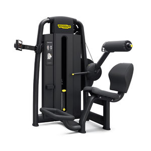 máquina de musculación extensión de espalda