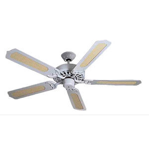 ventilador de techo