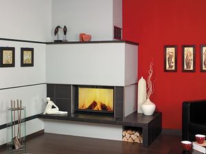 chimenea de leña