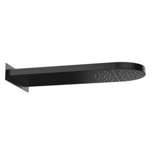 rociador de ducha de pared