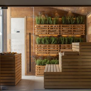 sauna para centro de bienestar