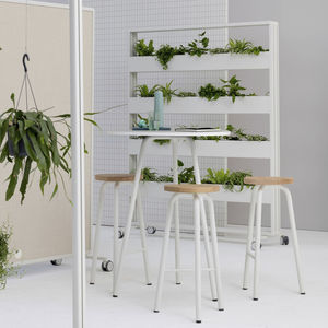 muro vegetal biológico