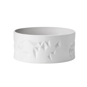 cuenco de porcelana