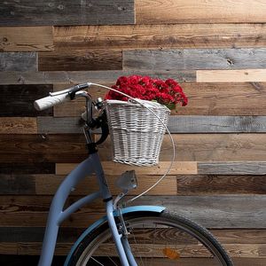 revestimiento de pared para interior
