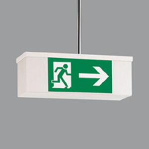 iluminación de emergencia de techo