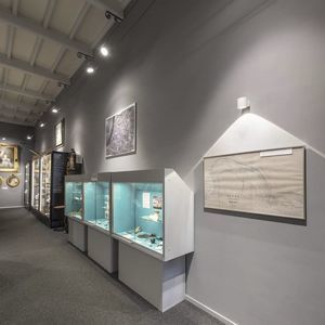 aplique contemporáneo