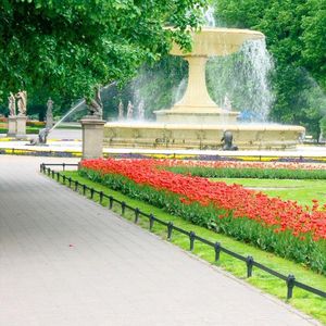 borde de jardín