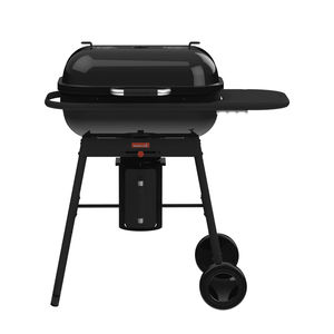 barbacoa de carbón