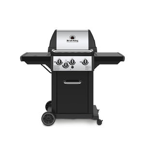 barbacoa de gas