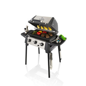 barbacoa de gas