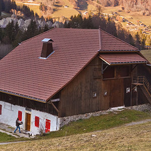 teja marsellesa
