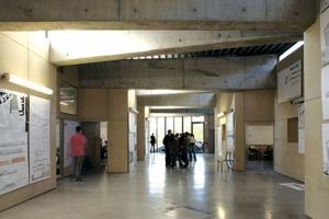 plancha de madera para encofrado de material compuesto / para encofrado perdido