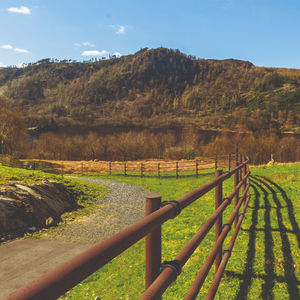 barrera de protección