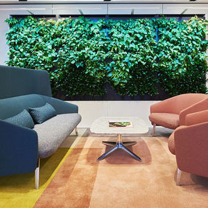 muro vegetal de interior