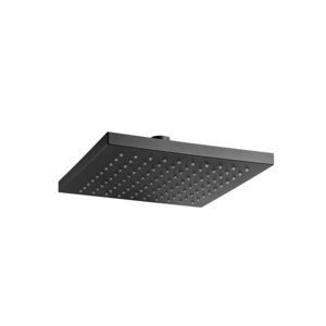 rociador de ducha de pared