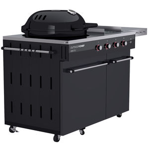 barbacoa de gas