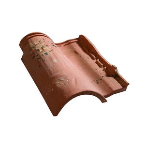 teja curva