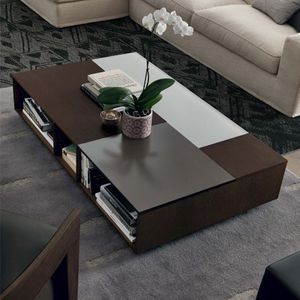 mesa de centro moderna / de roble / de vidrio deslustrado / rectangular