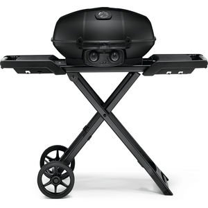 barbacoa de gas