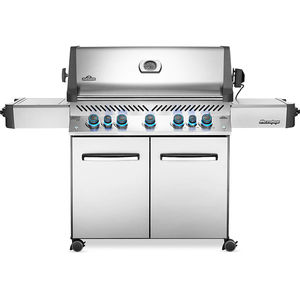 barbacoa de gas