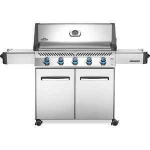 barbacoa de gas