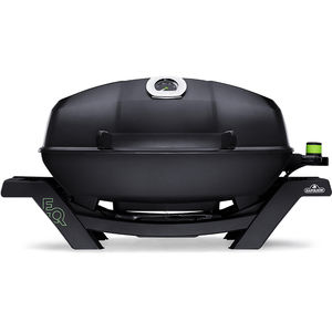barbacoa eléctrica