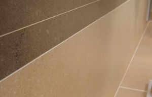 Baldosa de pared - Todos los fabricantes de la arquitectura y del