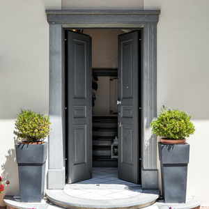 puerta de entrada