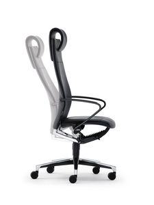 sillón de director para el sector profesional