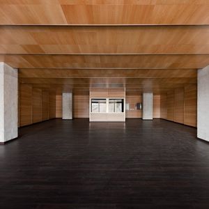 falso techo de madera / tipo panel / acústico / ignífugo