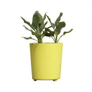 jardinera de fibra de vidrio
