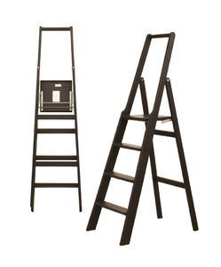 escalera pequeña para el sector profesional