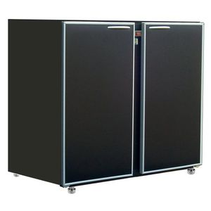 frigorífico profesional / bajo encimera / de 2 puertas / de acero inoxidable