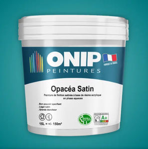 pintura de protección