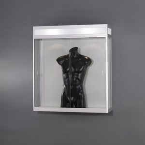 vitrina contemporánea / de pared / de vidrio / de aluminio anodizado