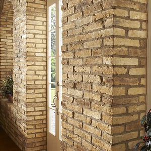 Fachaleta de ladrillo para fachada / interior / gris / blanco