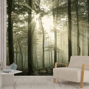 papel pintado contemporáneo