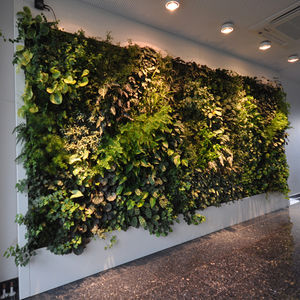 fachada vegetal de interior