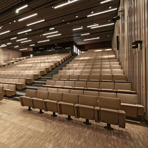 butaca de auditorio contemporáneo