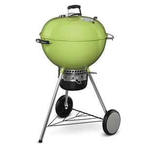 barbacoa de carbón