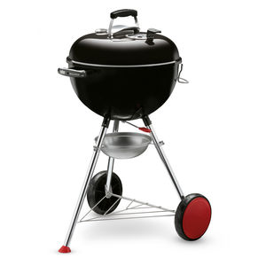 barbacoa de carbón