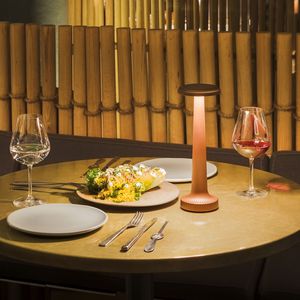 lámpara de mesa / contemporánea / de metal / inalámbrica