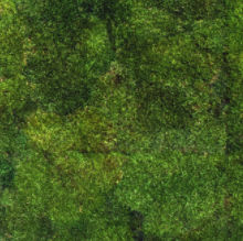 muro vegetal estabilizado